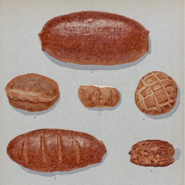 Illustrations of 7 loaves of bread